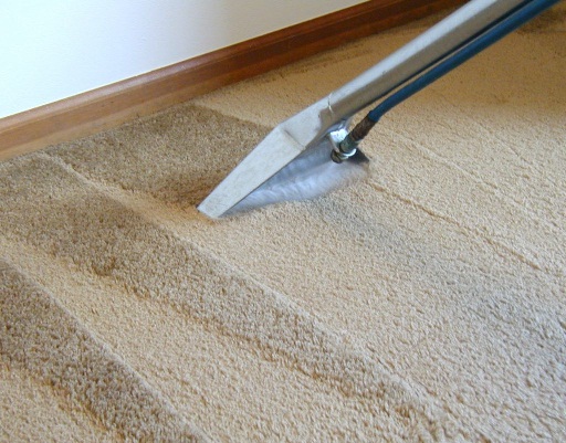 limpieza profesional de alfombras a domicilio